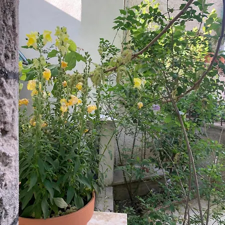 Pirinas Meteora Βίλα Καλαμπάκα Εξωτερικό φωτογραφία